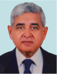 M. Saiful Islam